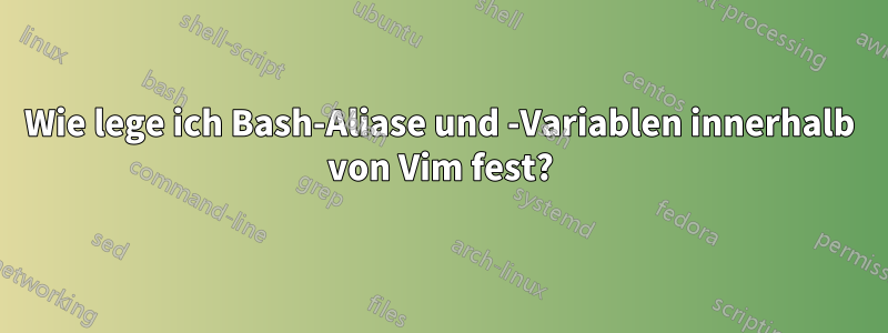 Wie lege ich Bash-Aliase und -Variablen innerhalb von Vim fest?