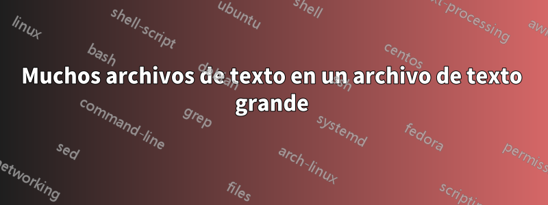 Muchos archivos de texto en un archivo de texto grande
