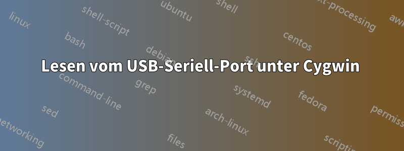Lesen vom USB-Seriell-Port unter Cygwin