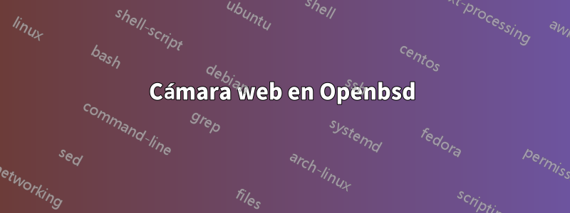 Cámara web en Openbsd