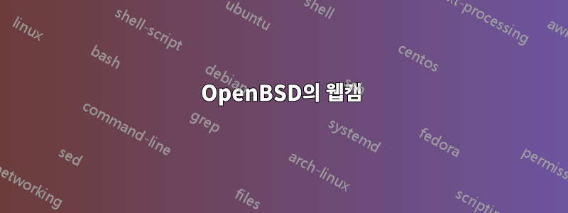 OpenBSD의 웹캠