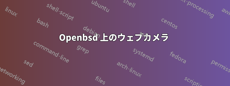 Openbsd 上のウェブカメラ