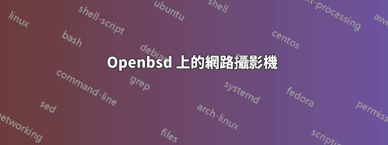 Openbsd 上的網路攝影機