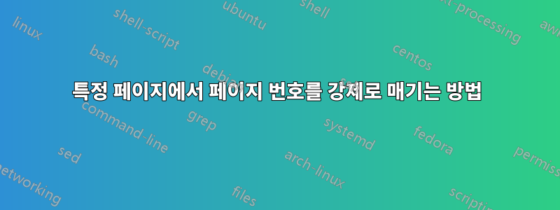 특정 페이지에서 페이지 번호를 강제로 매기는 방법