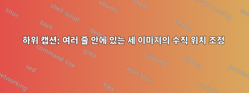 하위 캡션: 여러 줄 안에 있는 세 이미지의 수직 위치 조정