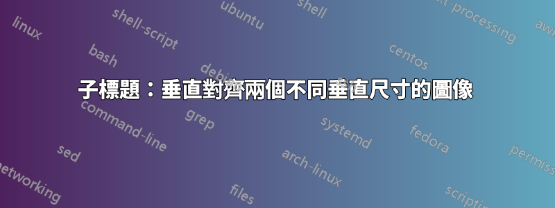 子標題：垂直對齊兩個不同垂直尺寸的圖像