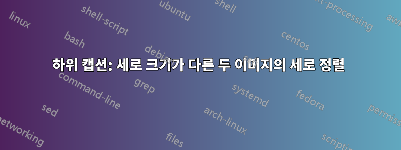 하위 캡션: 세로 크기가 다른 두 이미지의 세로 정렬