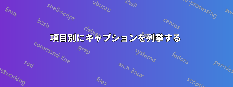 項目別にキャプションを列挙する
