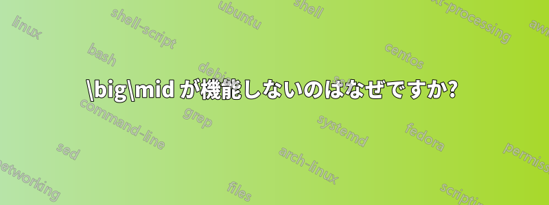 \big\mid が機能しないのはなぜですか?
