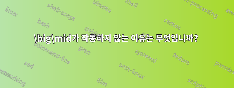 \big\mid가 작동하지 않는 이유는 무엇입니까?