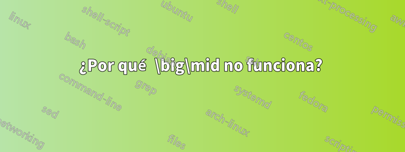 ¿Por qué \big\mid no funciona?