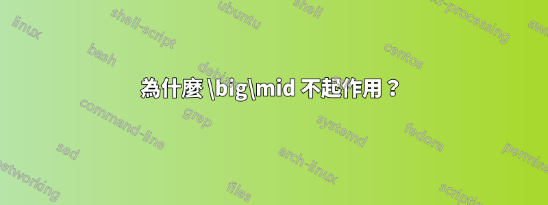 為什麼 \big\mid 不起作用？