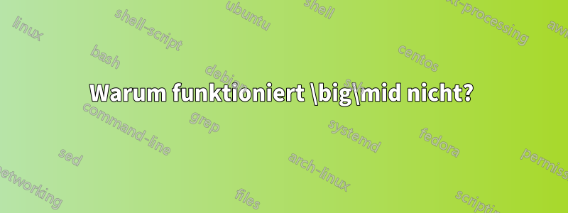 Warum funktioniert \big\mid nicht?