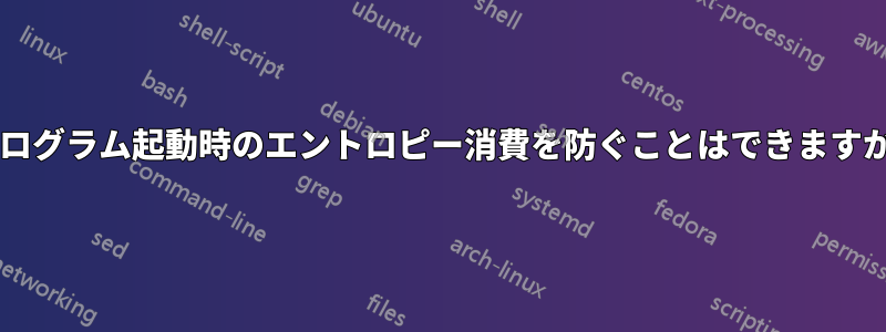 プログラム起動時のエントロピー消費を防ぐことはできますか?