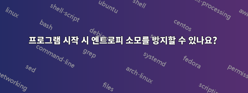 프로그램 시작 시 엔트로피 소모를 방지할 수 있나요?