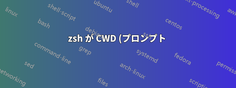 zsh が CWD (プロンプト) でエイリアスを使用しないようにする