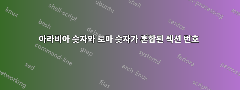 아라비아 숫자와 로마 숫자가 혼합된 섹션 번호