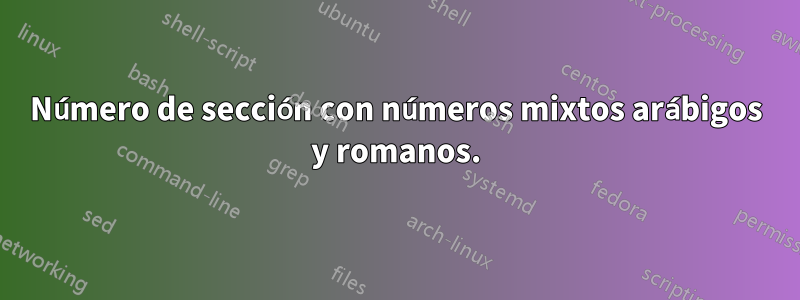 Número de sección con números mixtos arábigos y romanos.