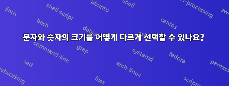 문자와 숫자의 크기를 어떻게 다르게 선택할 수 있나요?