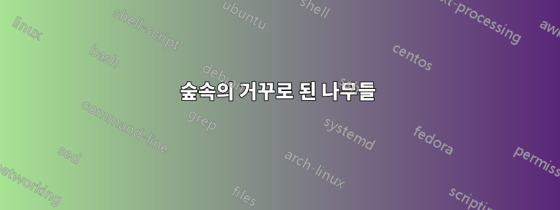 숲속의 거꾸로 된 나무들