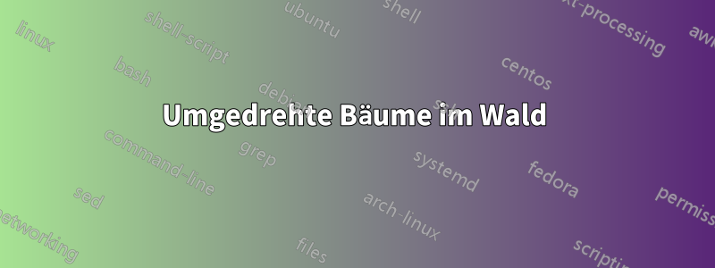 Umgedrehte Bäume im Wald