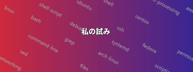 私の試み