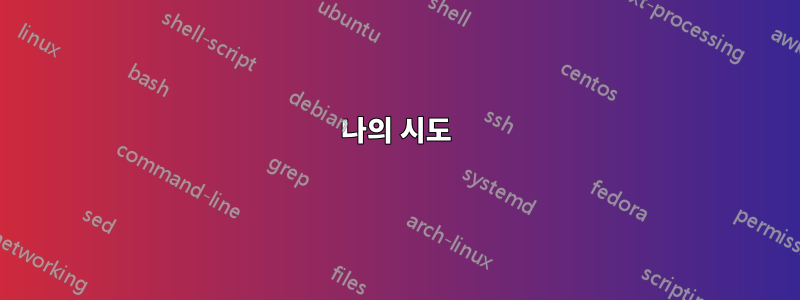 나의 시도