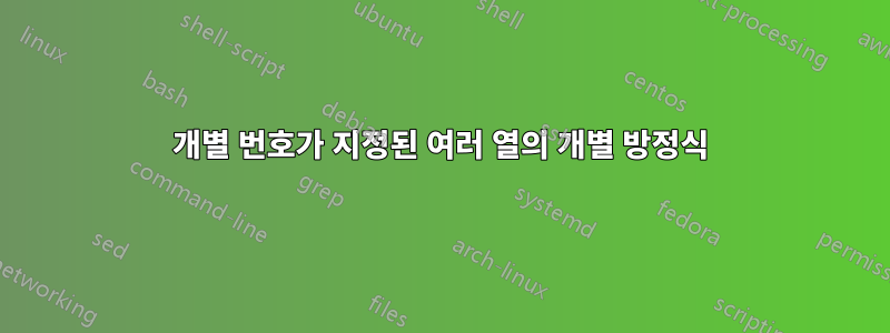 개별 번호가 지정된 여러 열의 개별 방정식