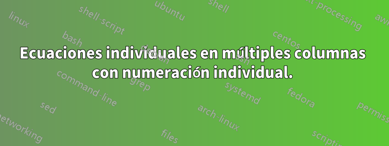 Ecuaciones individuales en múltiples columnas con numeración individual.