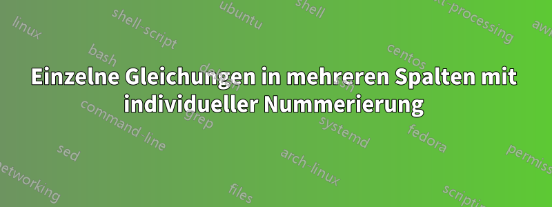 Einzelne Gleichungen in mehreren Spalten mit individueller Nummerierung