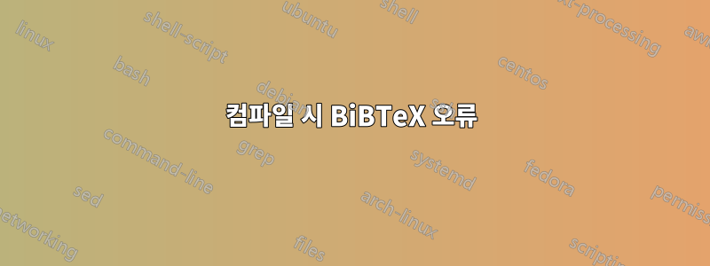 컴파일 시 BiBTeX 오류