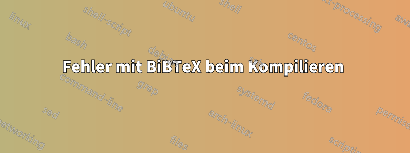 Fehler mit BiBTeX beim Kompilieren