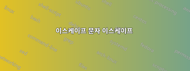 이스케이프 문자 이스케이프