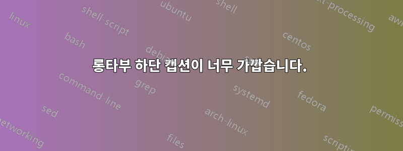 롱타부 하단 캡션이 너무 가깝습니다.