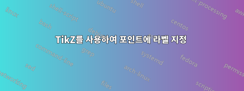 TikZ를 사용하여 포인트에 라벨 지정