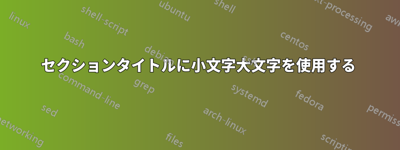 セクションタイトルに小文字大文字を使用する