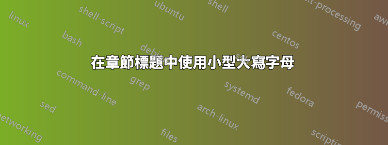 在章節標題中使用小型大寫字母