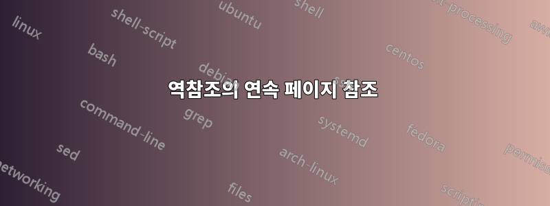 역참조의 연속 페이지 참조