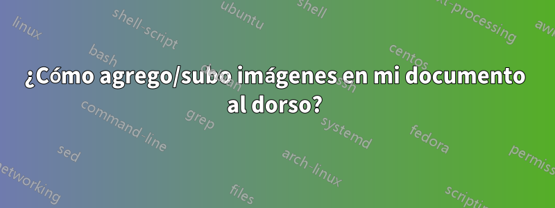 ¿Cómo agrego/subo imágenes en mi documento al dorso?