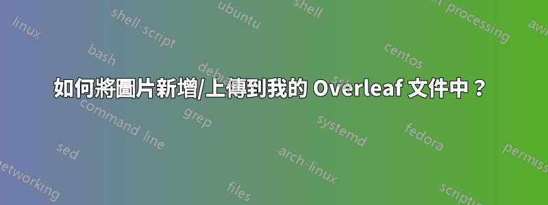 如何將圖片新增/上傳到我的 Overleaf 文件中？