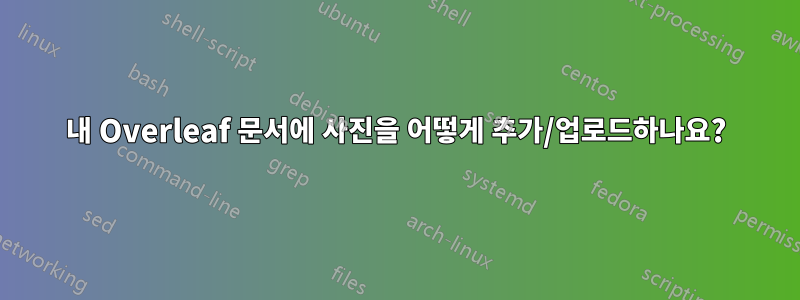 내 Overleaf 문서에 사진을 어떻게 추가/업로드하나요?