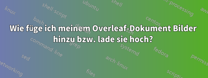 Wie füge ich meinem Overleaf-Dokument Bilder hinzu bzw. lade sie hoch?