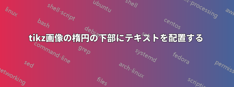 tikz画像の楕円の下部にテキストを配置する