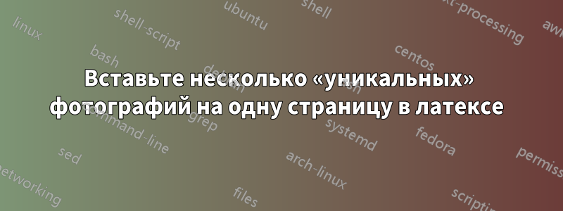 Вставьте несколько «уникальных» фотографий на одну страницу в латексе 