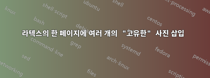 라텍스의 한 페이지에 여러 개의 "고유한" 사진 삽입 