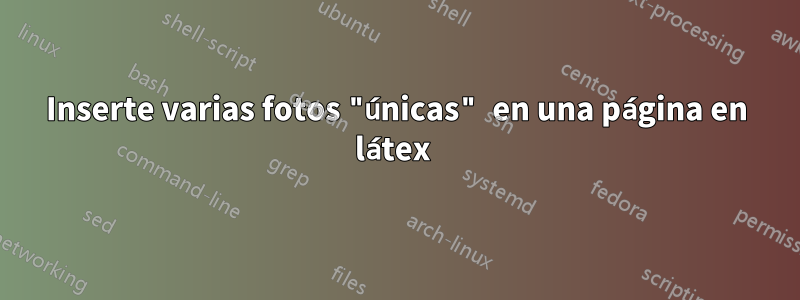 Inserte varias fotos "únicas" en una página en látex 