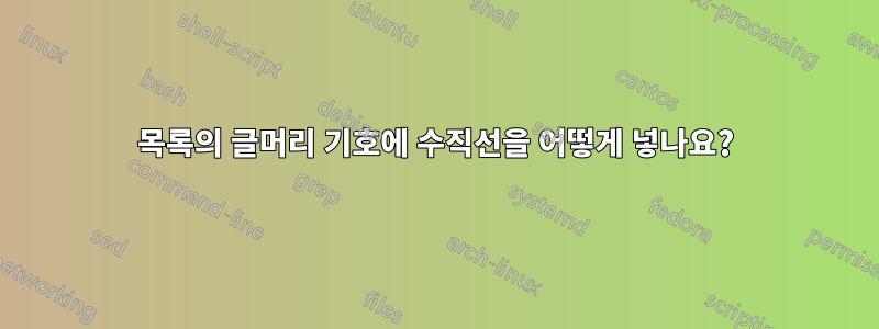 목록의 글머리 기호에 수직선을 어떻게 넣나요?