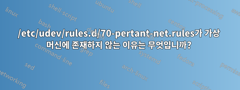 /etc/udev/rules.d/70-pertant-net.rules가 가상 머신에 존재하지 않는 이유는 무엇입니까?