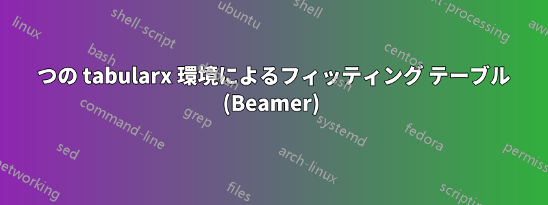 2 つの tabularx 環境によるフィッティング テーブル (Beamer)