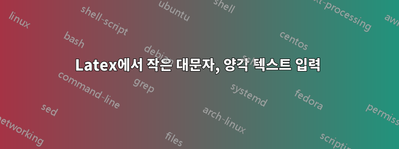 Latex에서 작은 대문자, 양각 텍스트 입력